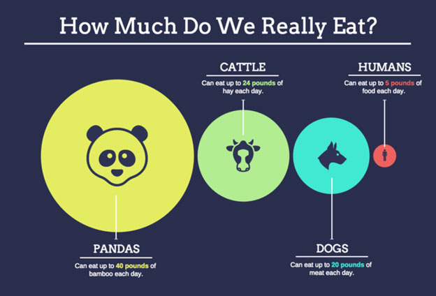 infographics 2021 4