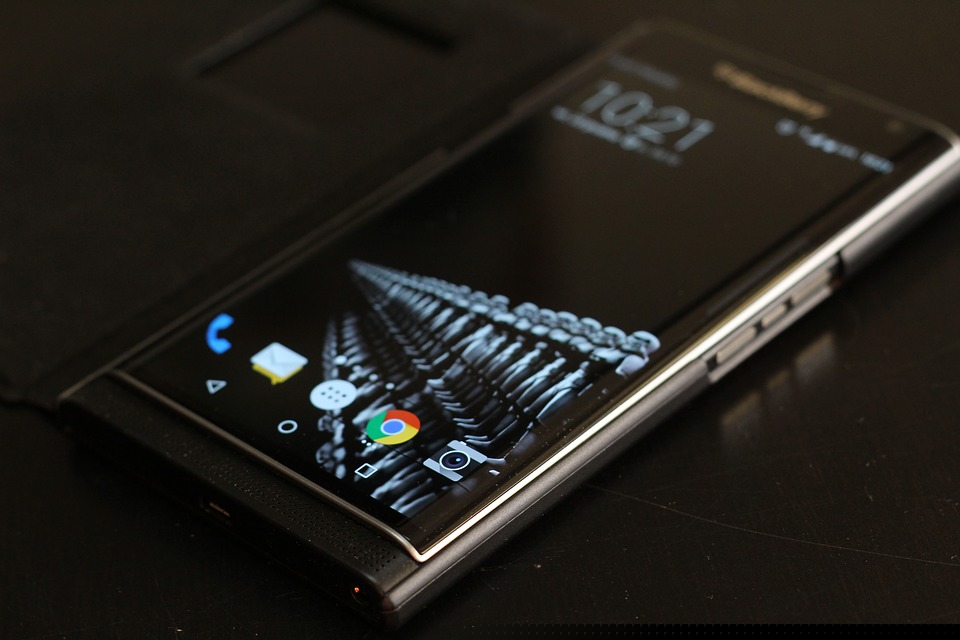 blackberry 2690102 960 720