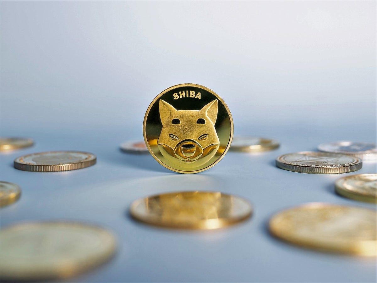 shiba inu crypto 2022