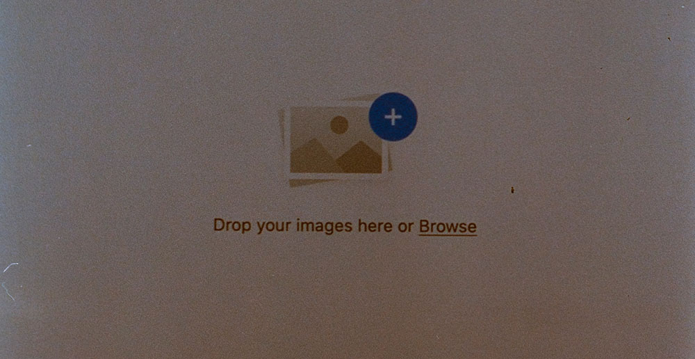search by image