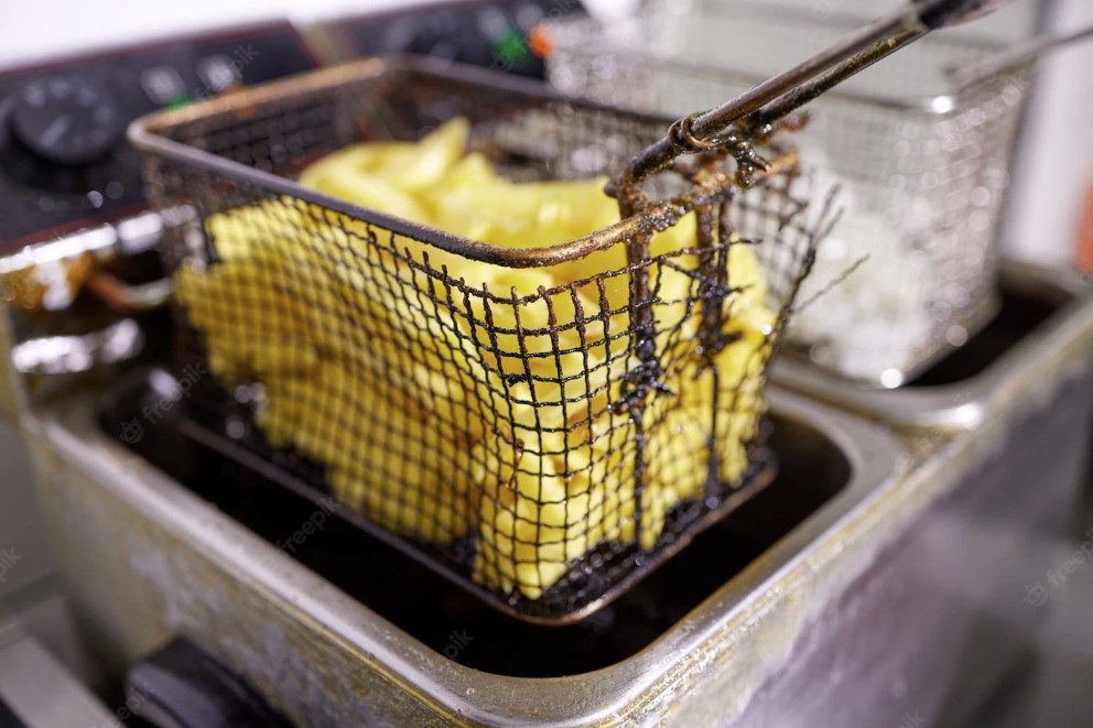 deep fryer 1