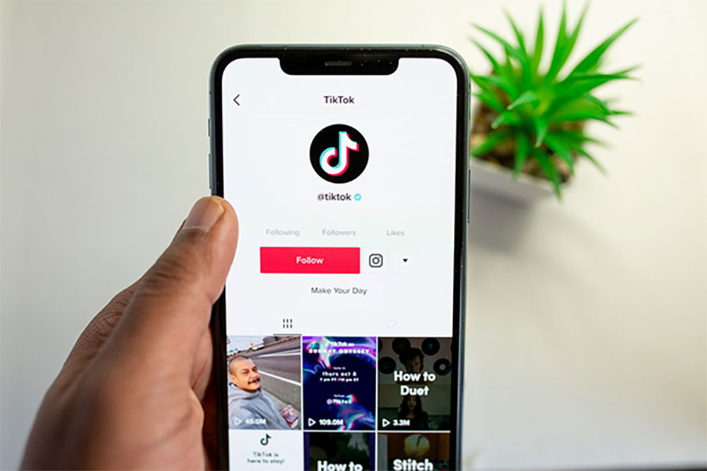 tiktok 2022