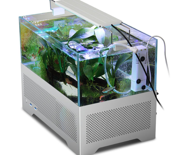 metalfish y2 chassis top angle