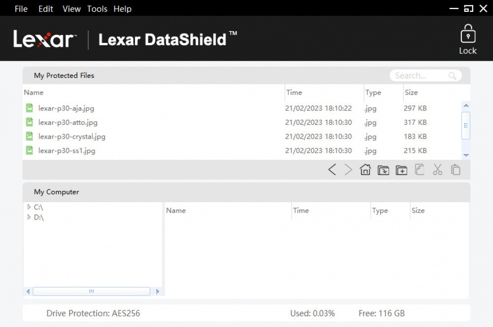 lexar p30 ss5