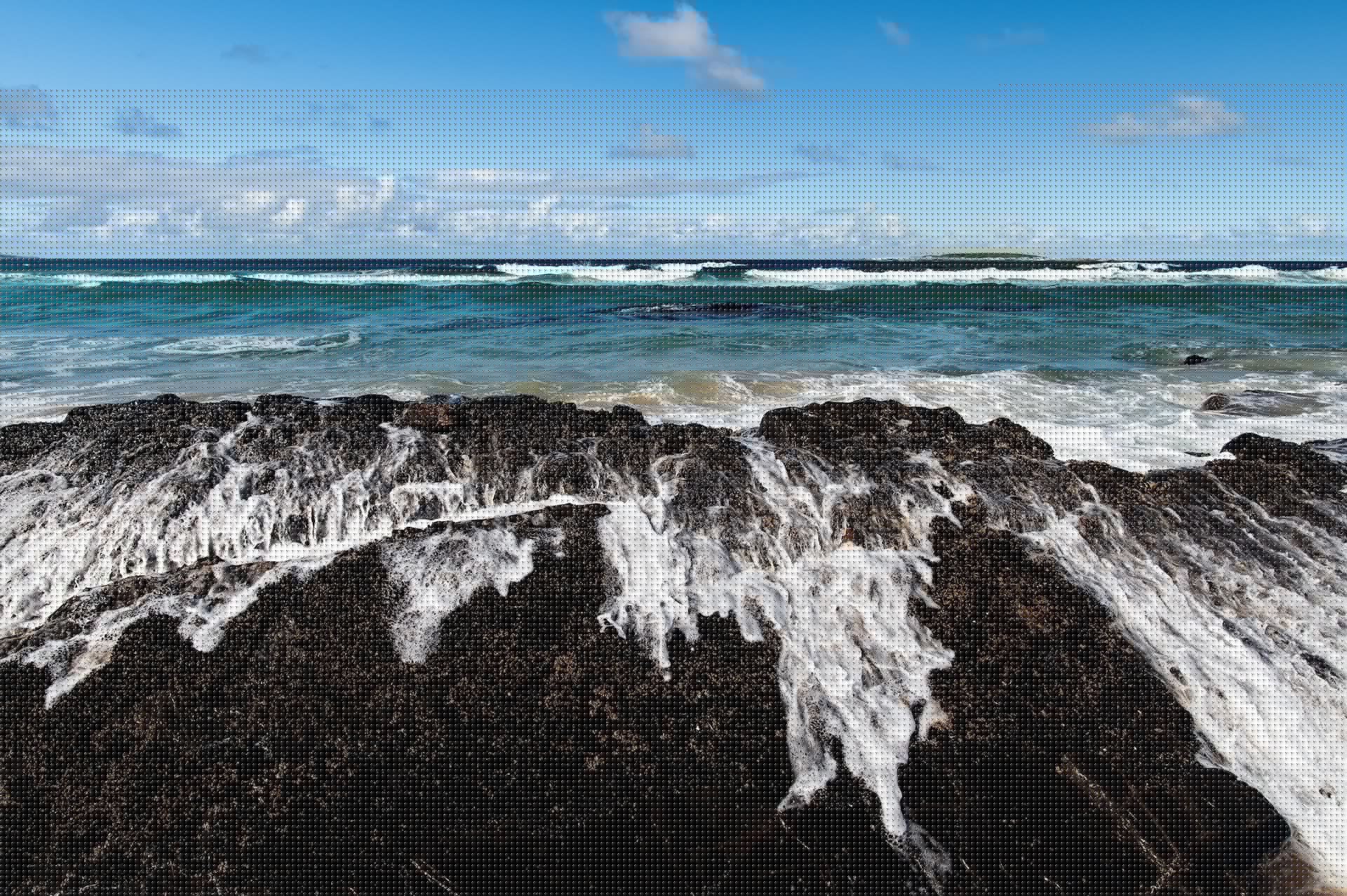 david clode TD1RKNb4EXM unsplash