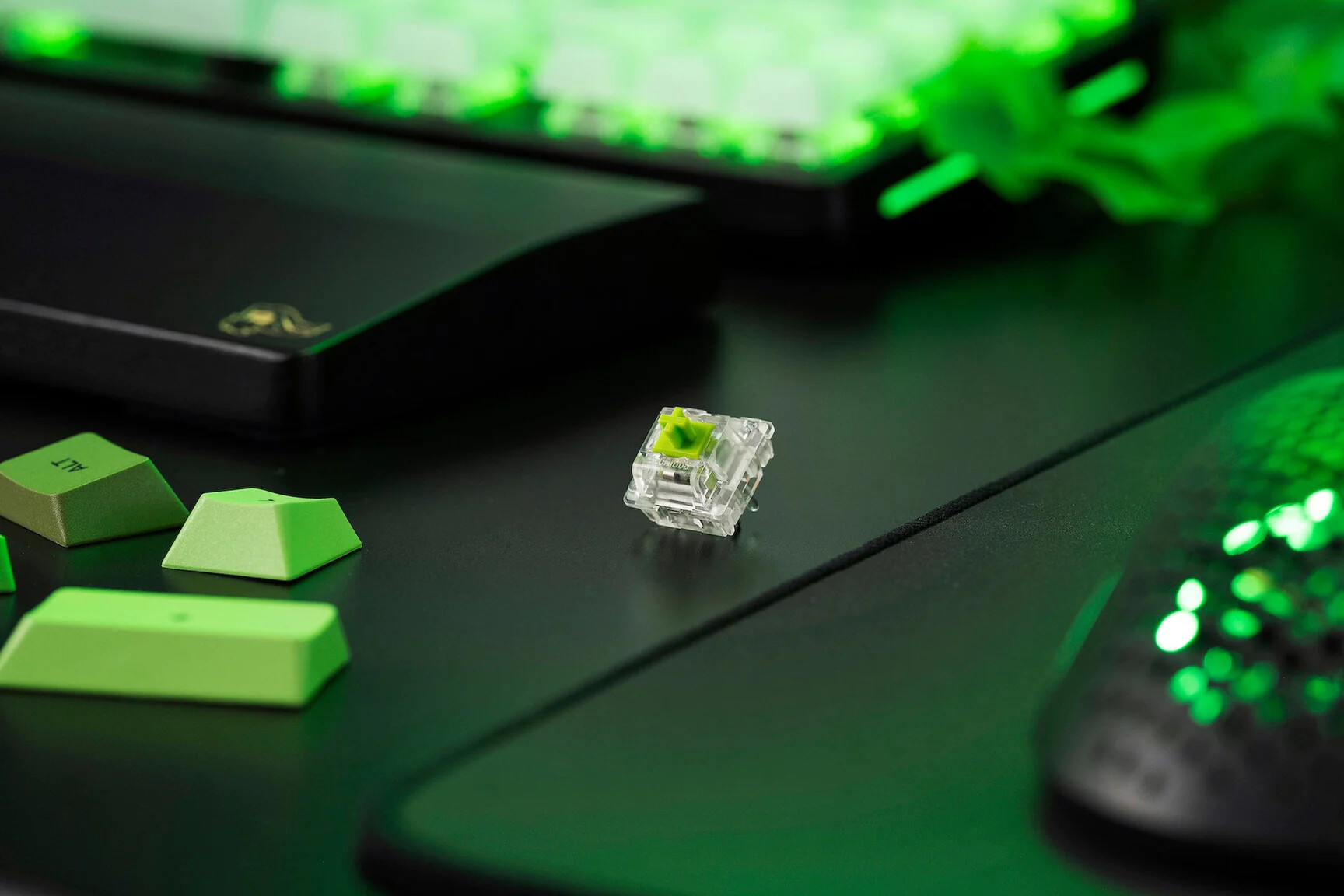 Glorious Raptor Clicky Switch