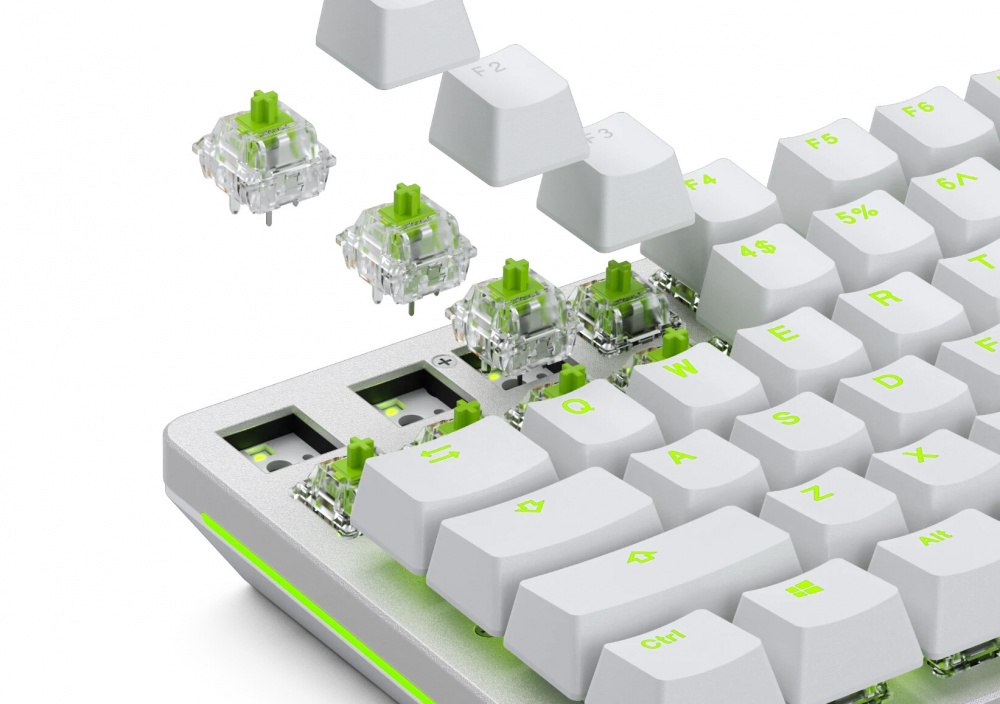 Glorious Raptor Clicky Switch