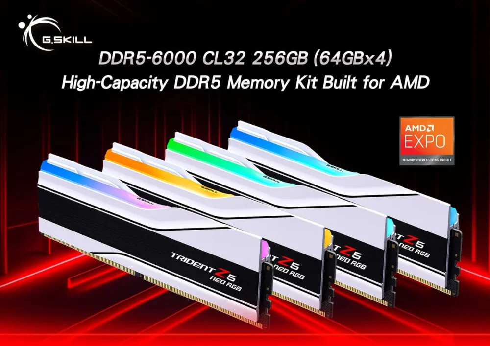 gskill 256 1