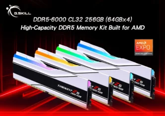 gskill 256 1