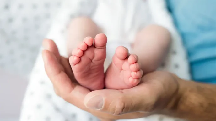 surrogacy 2025 1