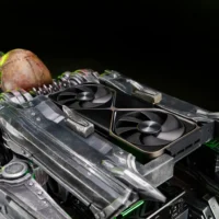 497539002 1272077294926319 8887570355564266309 n