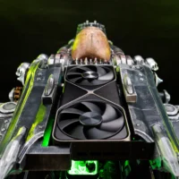 497627884 1272077521592963 7061742616605406340 n