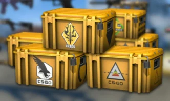 cs go case 1