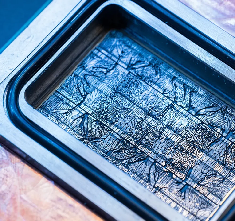 microsoft Microfluidic Channels 2