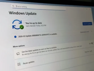 windows11 update pause 1