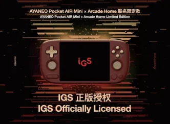 air mini igs 1