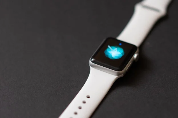 apple watch bands