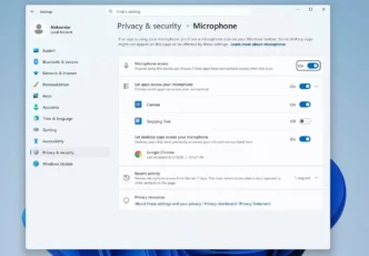 windows11 per app 1
